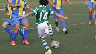 开云体育中国官方网站-体育纪录片内容更加丰富，体育纪录片主题